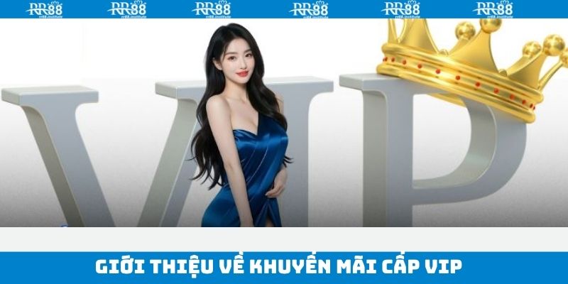 Giới thiệu khuyến mãi cấp VIP trên hệ thống RR88