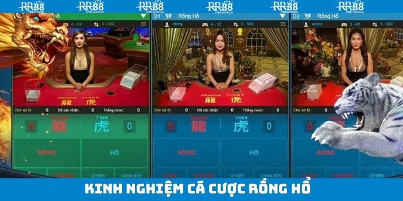 Rồng Hổ - Trải Nghiệm Siêu Phẩm Game Bài Hấp Dẫn Tại RR88 4 Bật mí những mẹo chơi Rồng Hổ bất bại cho newbie