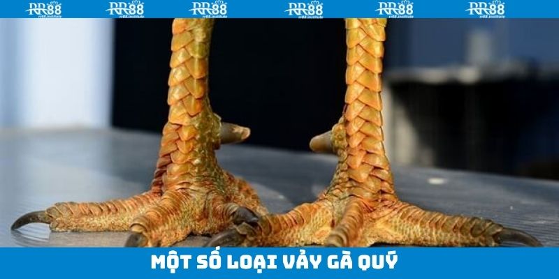 Bộ giáp ngũ quỷ của chiến kê