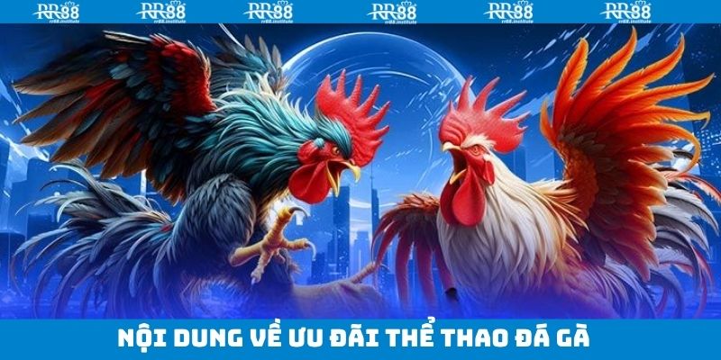 Bảo hiểm lên tới 16.888.888 VNĐ vào chủ nhật
