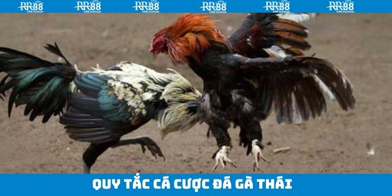 Khám phá luật chơi và cách xác định kết quả nhanh chóng