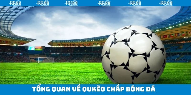 Khám phá thông tin về loại hình cá độ phổ biến