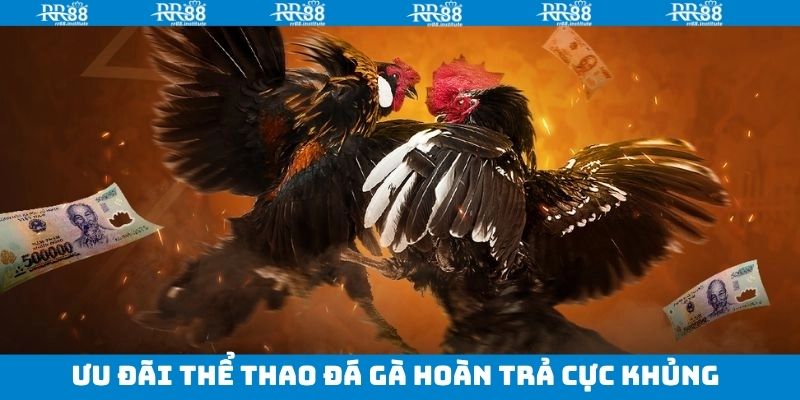 Hoàn tiền khủng dành cho VIP tại RR88